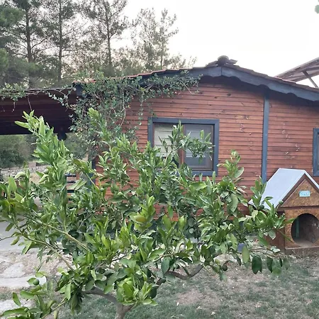 Escape The Noise, Hear Only Natures Voice Bauernhof