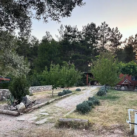 Farm stay Escape The Noise, Hear Only Natures Voice