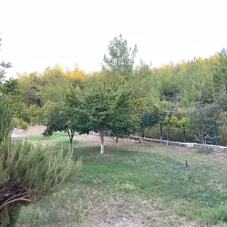 Farm stay Escape The Noise, Hear Only Natures Voice *