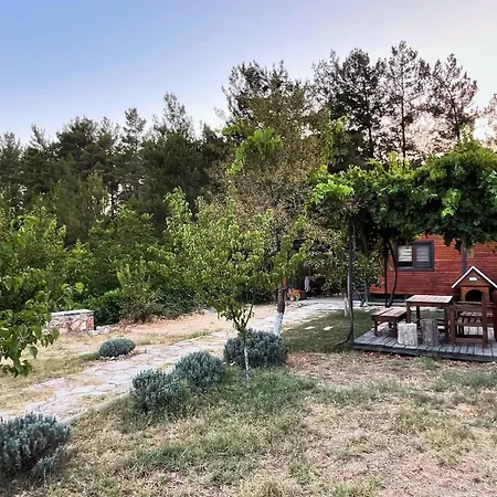 Farm stay Escape The Noise, Hear Only Natures Voice Karacahisar