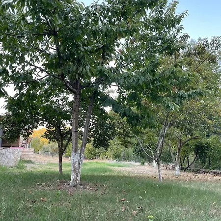 Farm stay Escape The Noise, Hear Only Natures Voice *