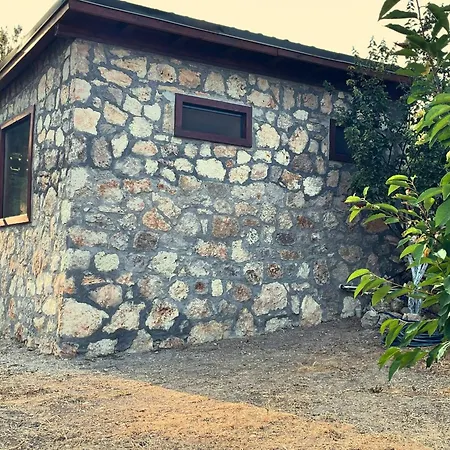 Escape The Noise, Hear Only Natures Voice Farm stay *