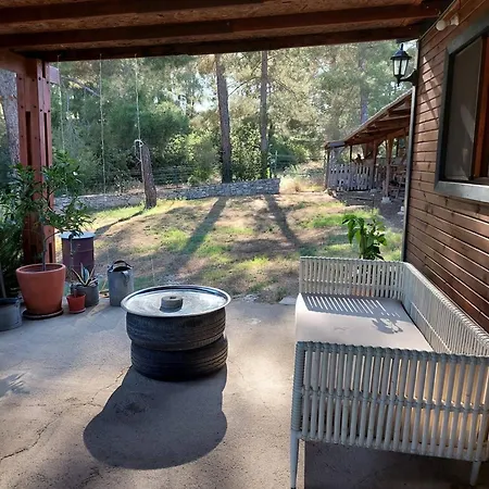 Escape The Noise, Hear Only Natures Voice Farm stay Karacahisar