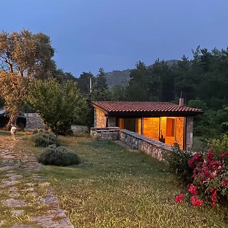 Farm stay Escape The Noise, Hear Only Natures Voice