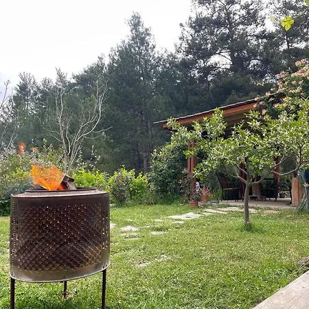 Escape The Noise, Hear Only Natures Voice Farm stay Karacahisar
