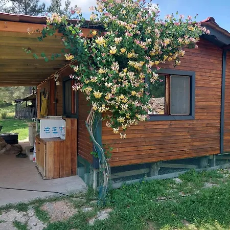 Farm stay Escape The Noise, Hear Only Natures Voice *