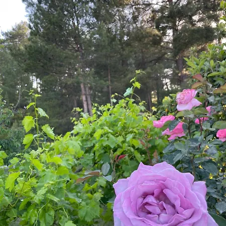Escape The Noise, Hear Only Natures Voice Bauernhof
