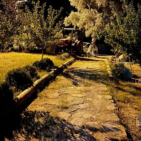 Escape The Noise, Hear Only Natures Voice Farm stay *